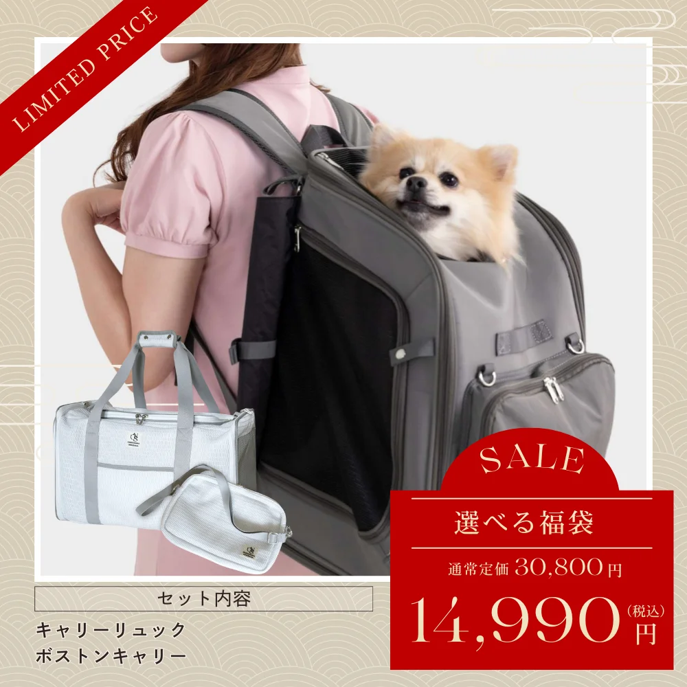 【福袋】リュック+ボストンバッグ