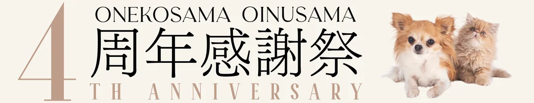 4周年感謝祭