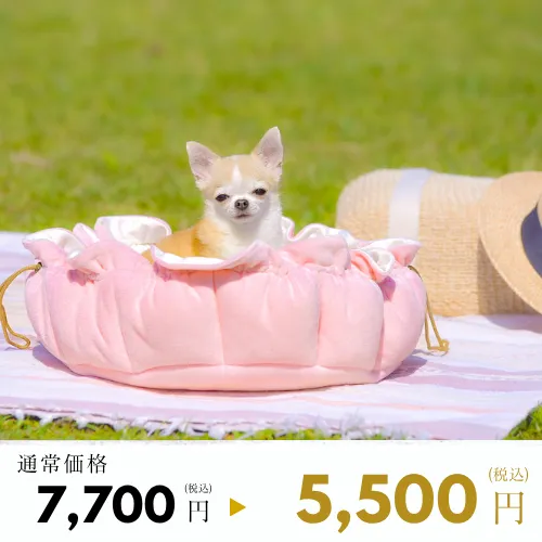 クールマカロンクッション