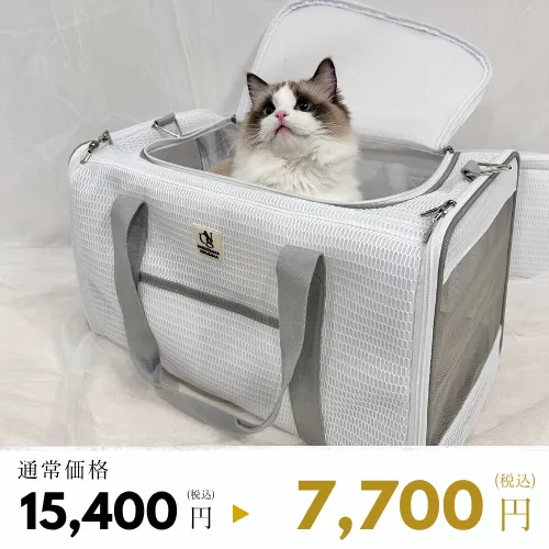 ボストンタイプ キャリーバッグ