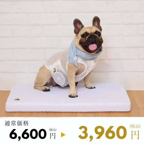 メッシュベッド