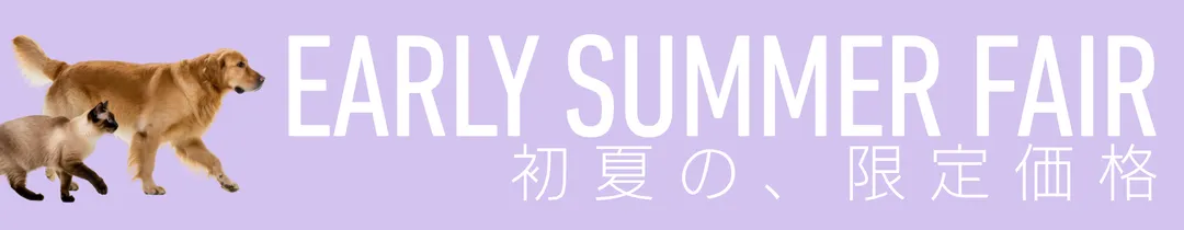 EARLY SUMMER FAIR