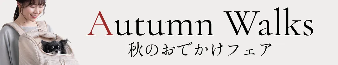 秋のお出かけフェア