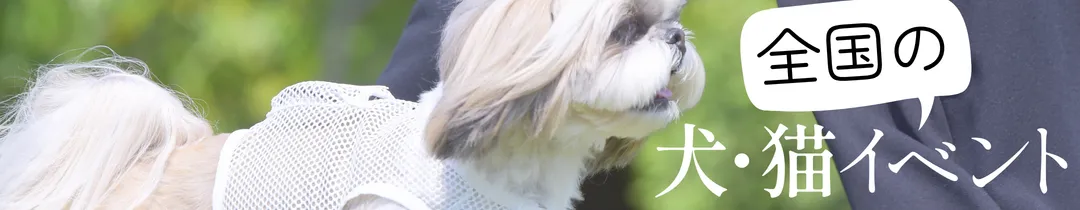 全国の犬・猫イベント2026