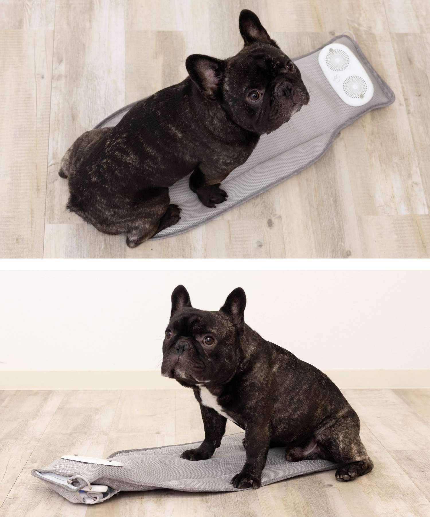 空調クールマット