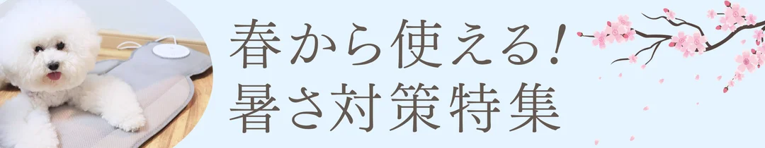 暑さ対策特集