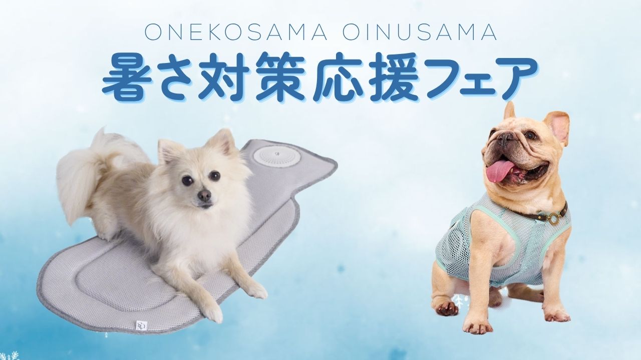 暑さ対策フェア