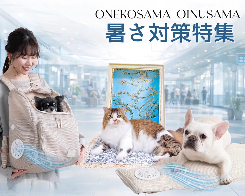 ペットの暑さ対策特集