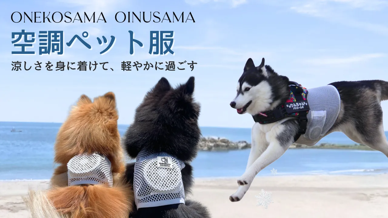 空調ペット服