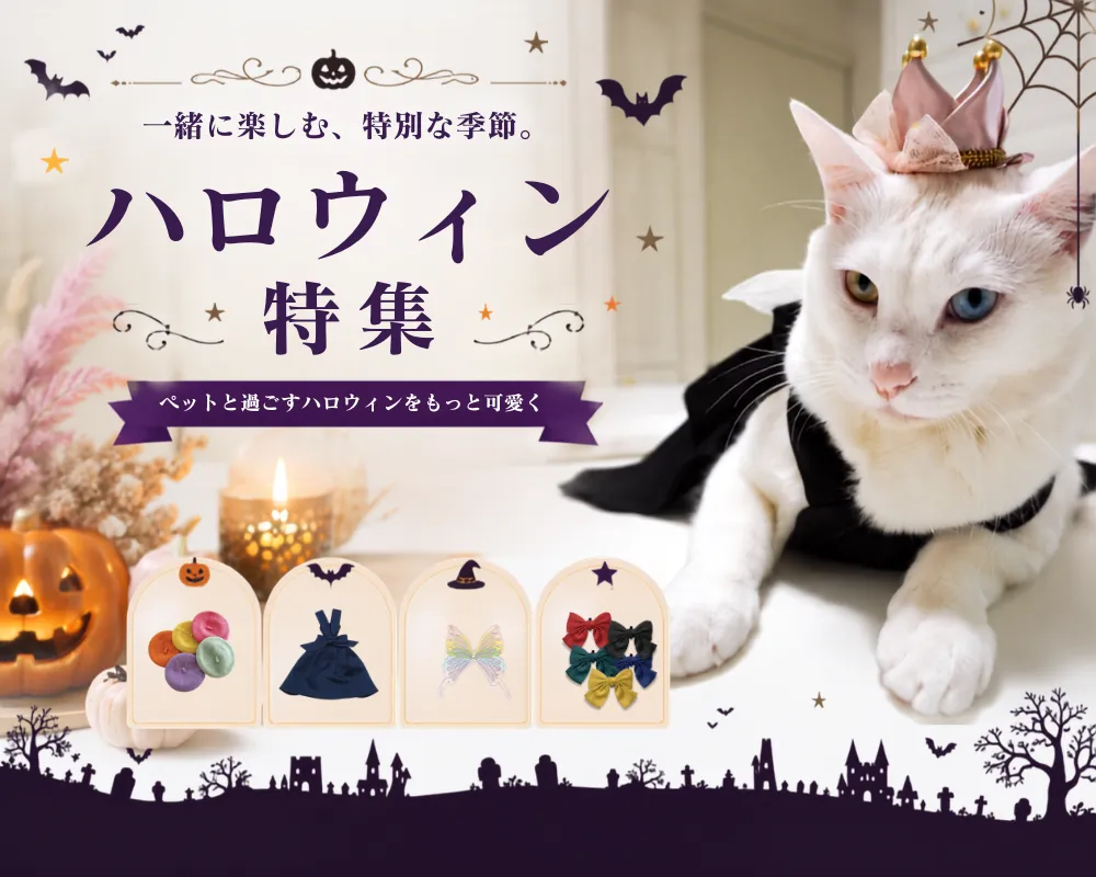 ハロウィン特集