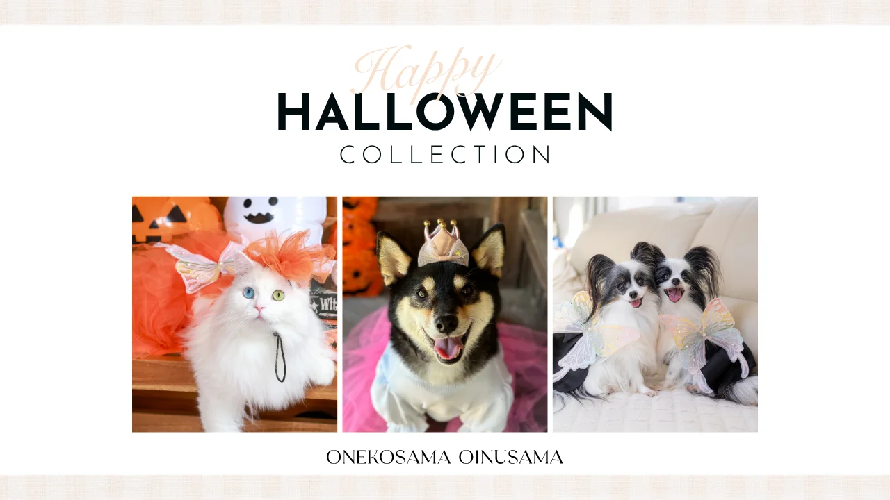 ハロウィン