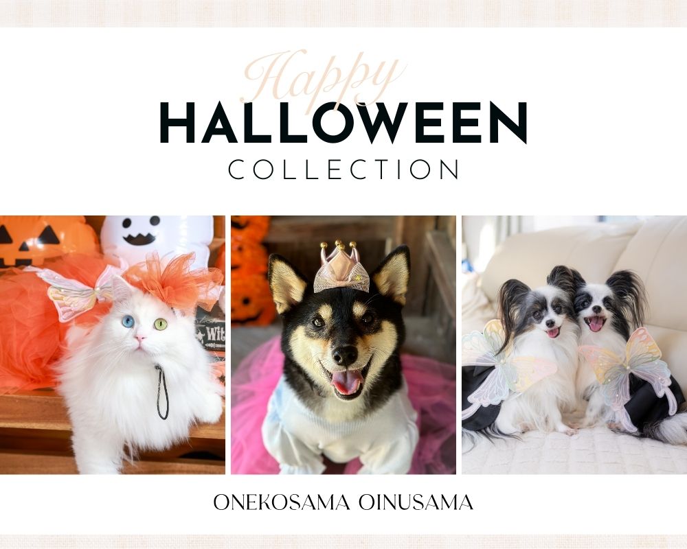 HAPPY HALLOWEEN COLLECTION