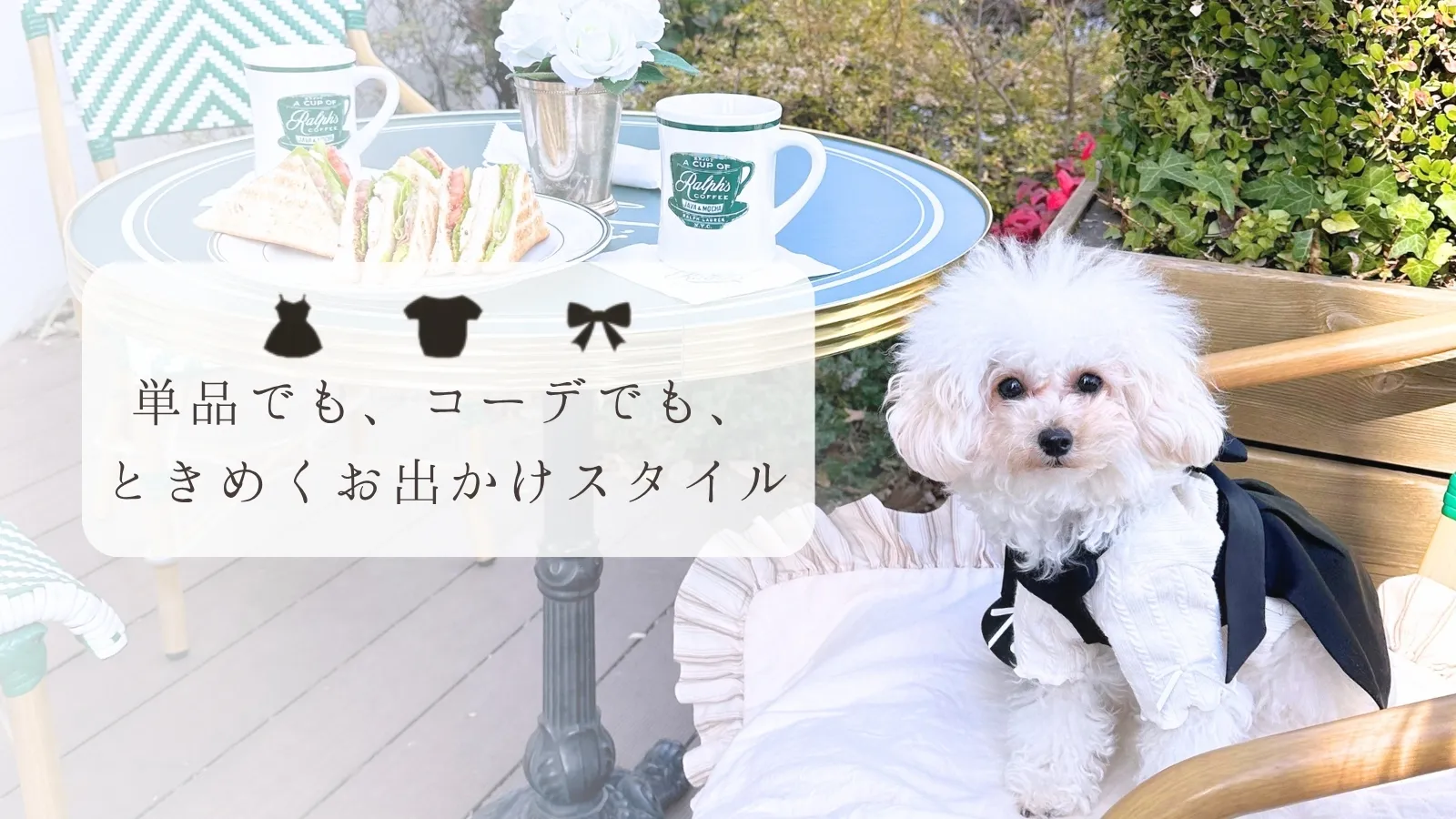 単品でも、コーデでも、ときめくお出かけスタイル