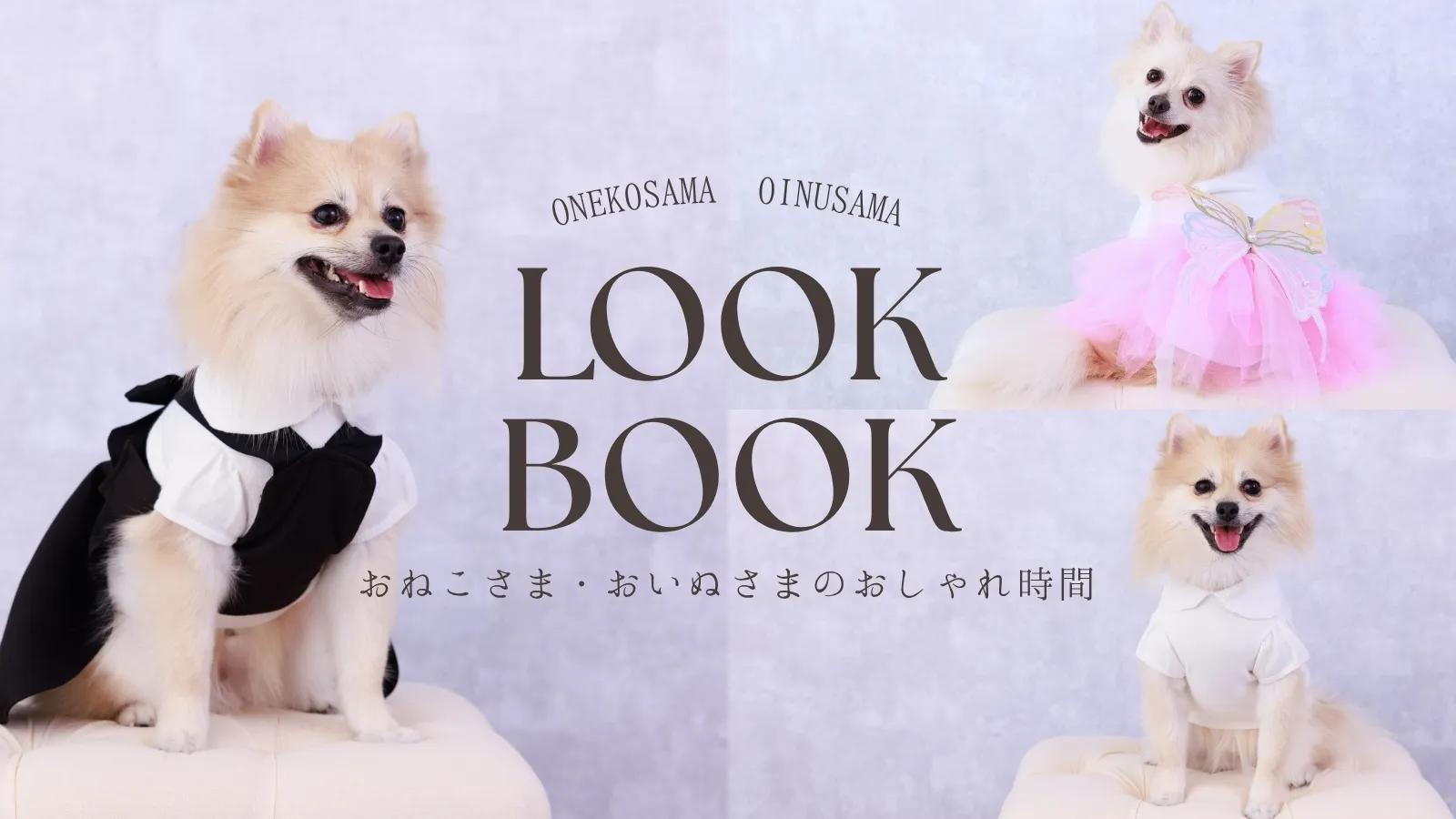 LOOKBOOK おねこさま・おいぬさまのおしゃれ時間