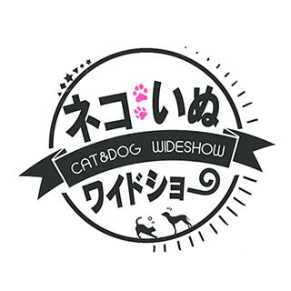 ネコいぬワイドショー