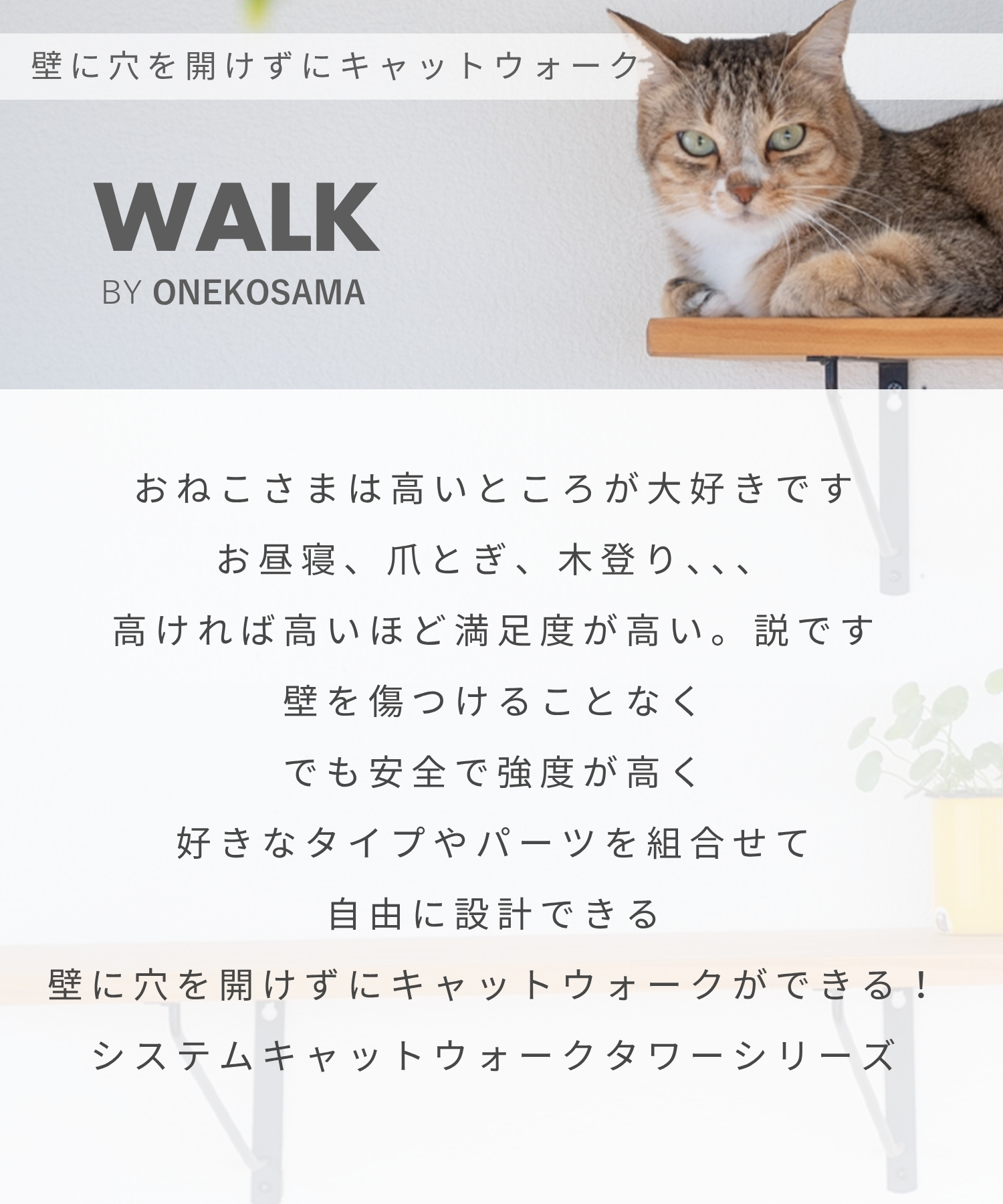 WALK SINGLE】レザー調 ハイタワー 突っ張り式キャットタワー 【獣医師