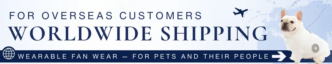 FOR OVERSEAS CUSTOMERS - Worldwide SHIPPING