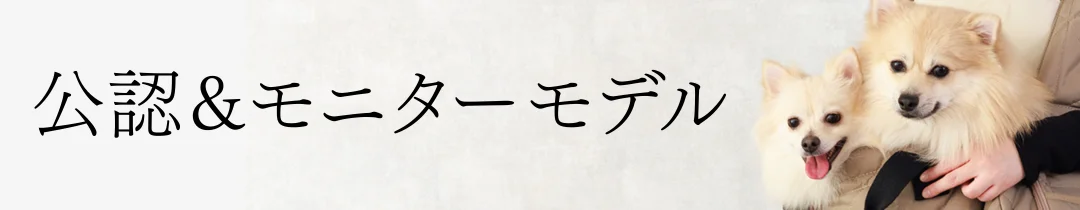 公認＆モニターモデル