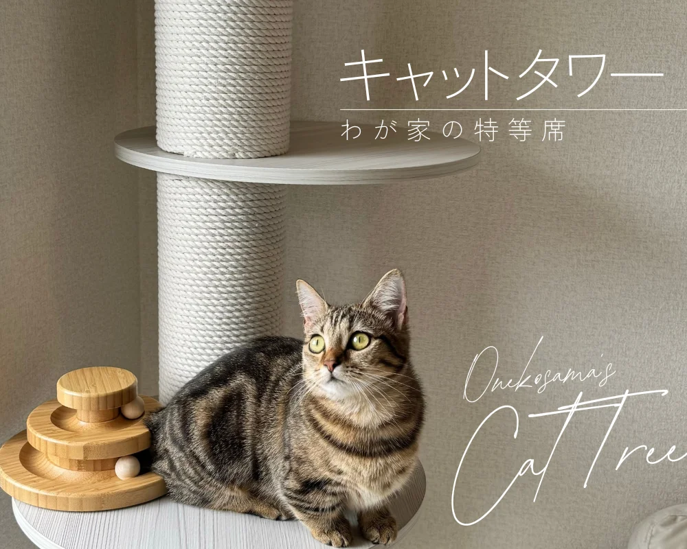 わが家の特等席 キャットタワー