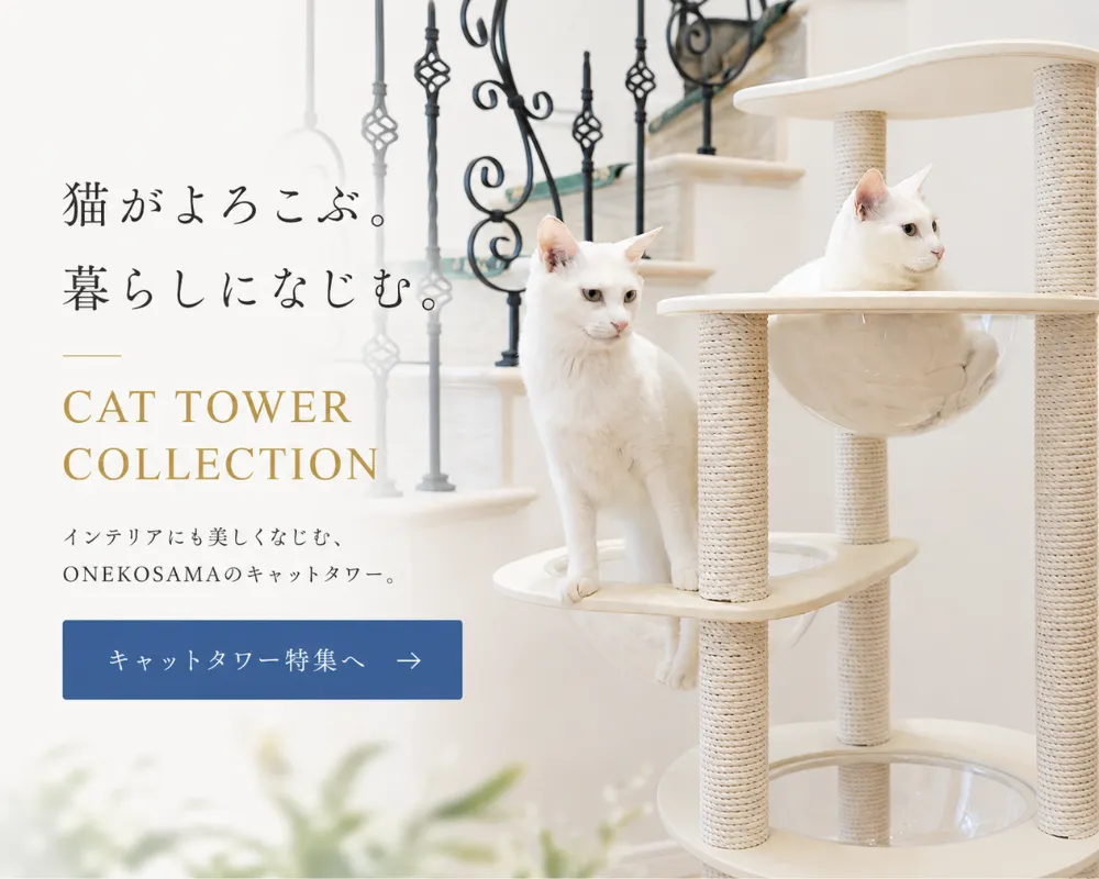 キャットタワー特集