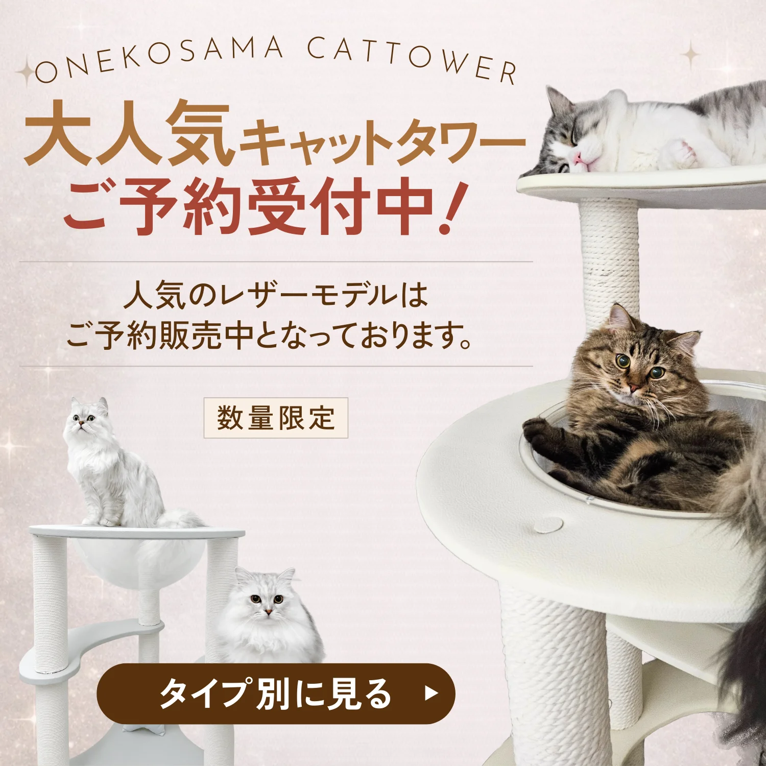 キャットタワー