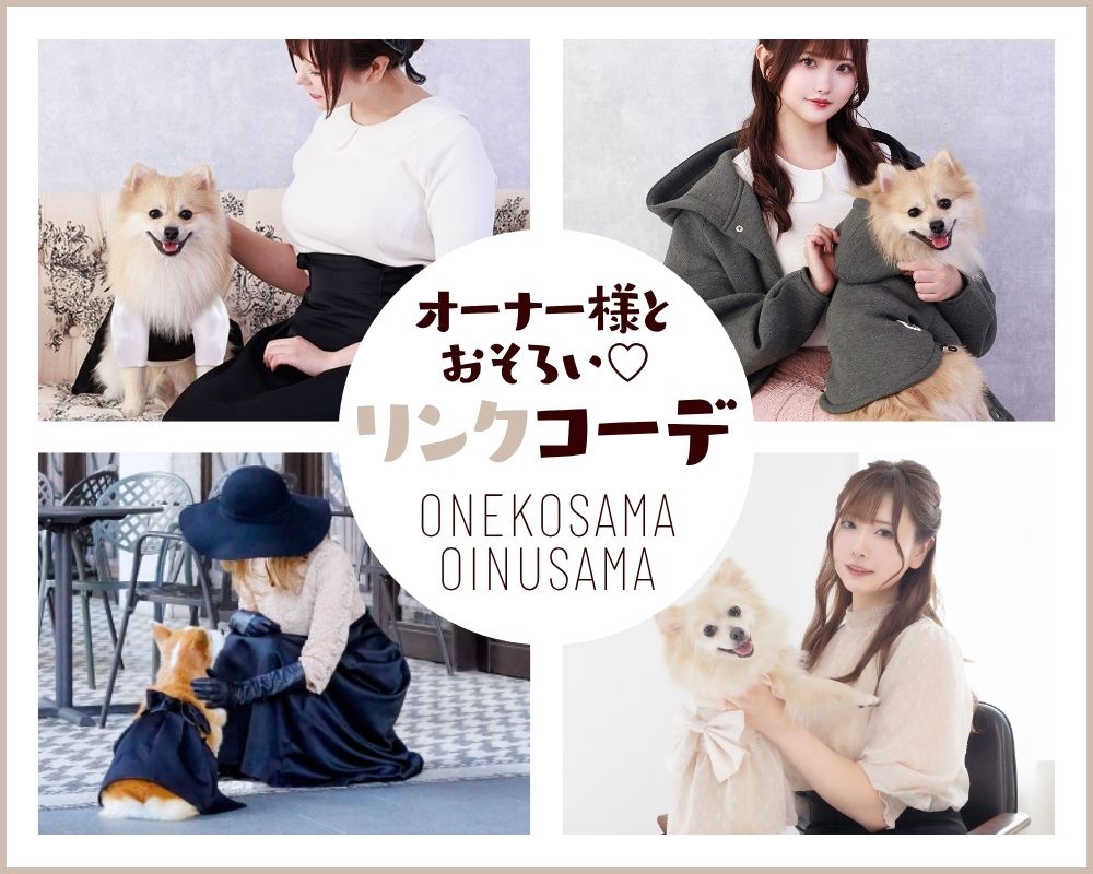 ねこさま専用 公式写真 クーポンでさらにオトク／【日本製】【RESIDENCE 宇宙船タイプ