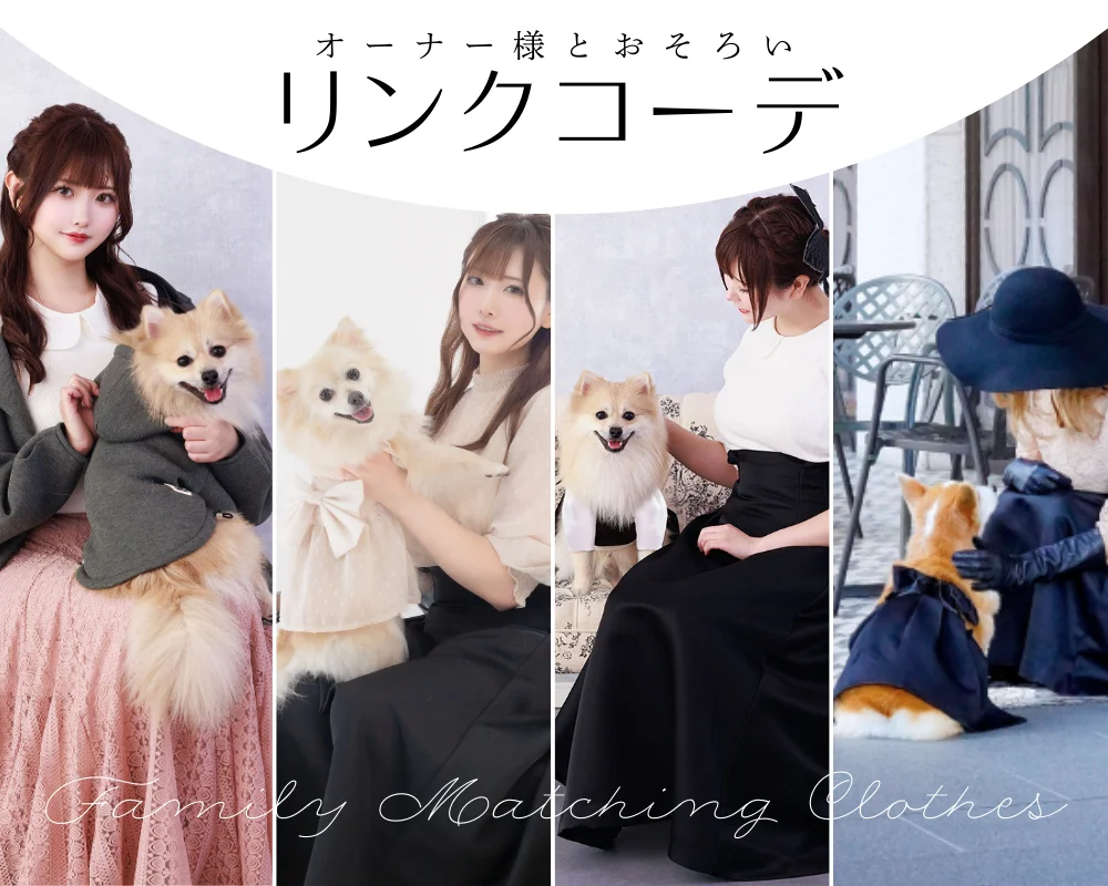 リンクコーデ