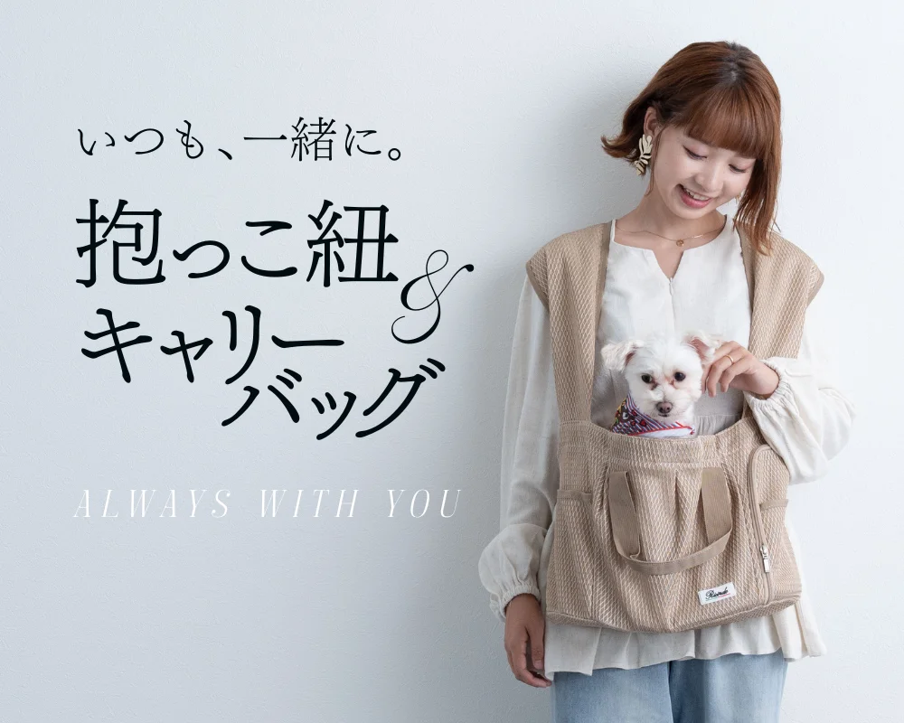 いつも、一緒に。抱っこ紐・キャリー