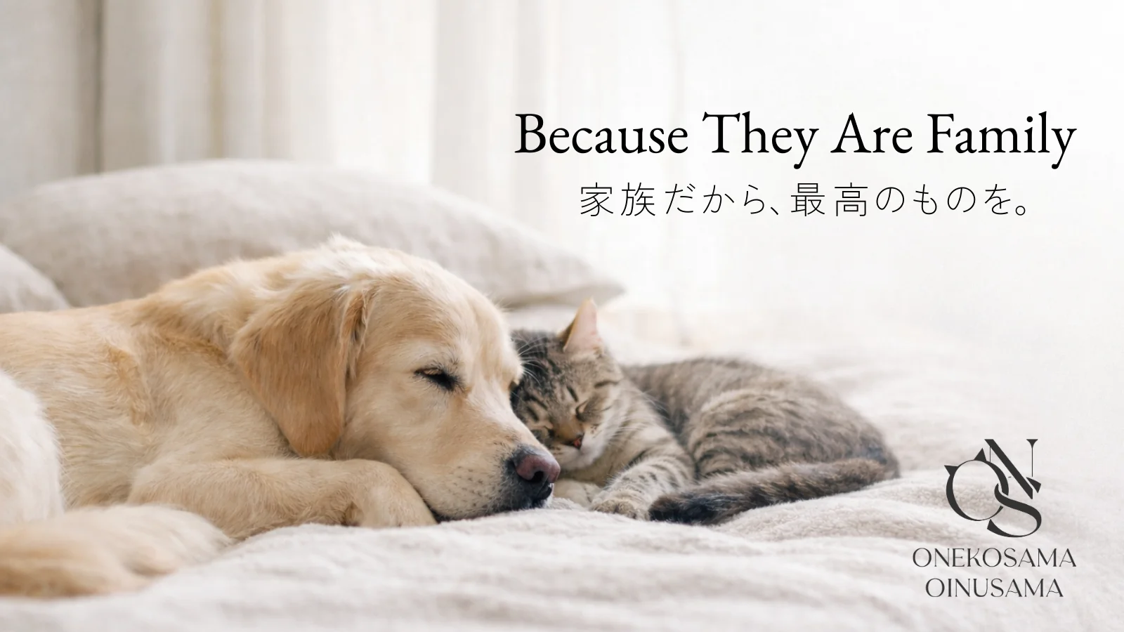 ONEKOSAMA OINUSAMA Because They Are Family 家族だから、最高のものを。