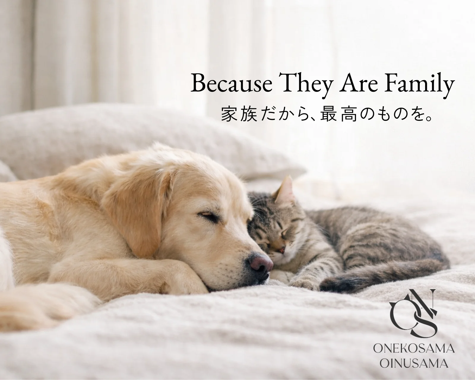 ONEKOSAMA OINUSAMA Because They Are Family 家族だから、最高のものを。