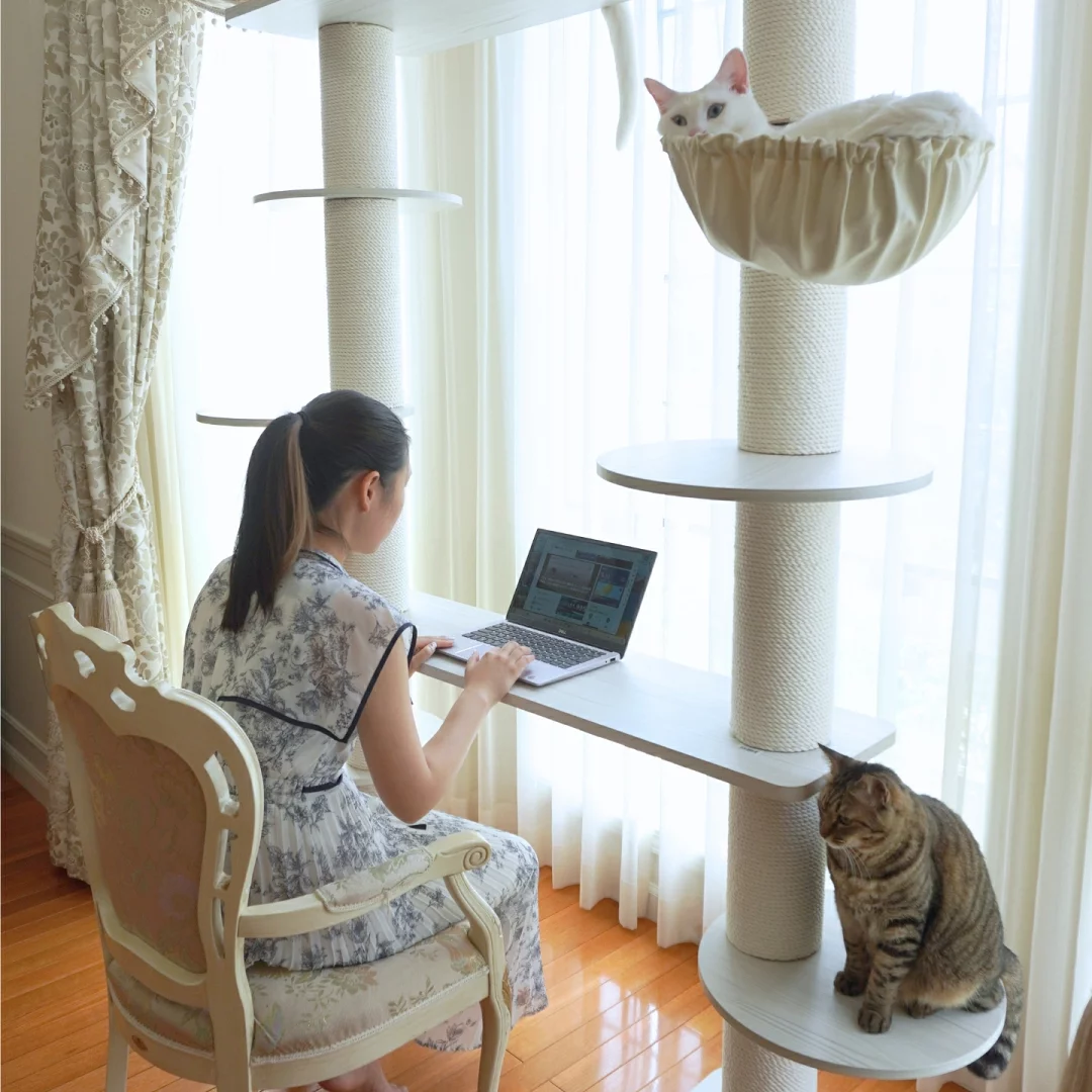 キャットタワー