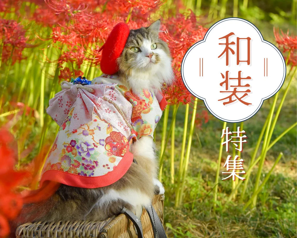 ペット和装＆お揃い小物