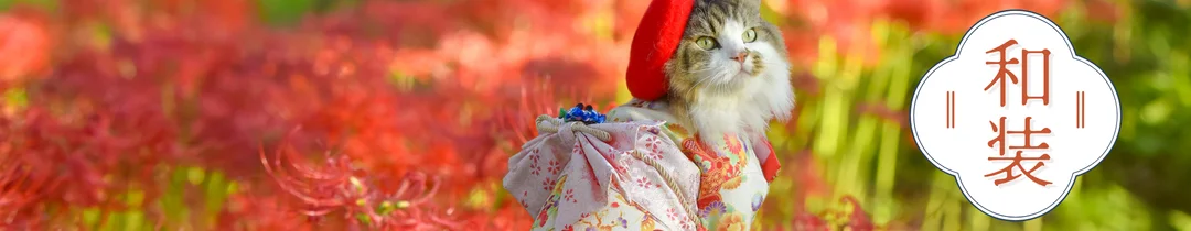 ペット和装