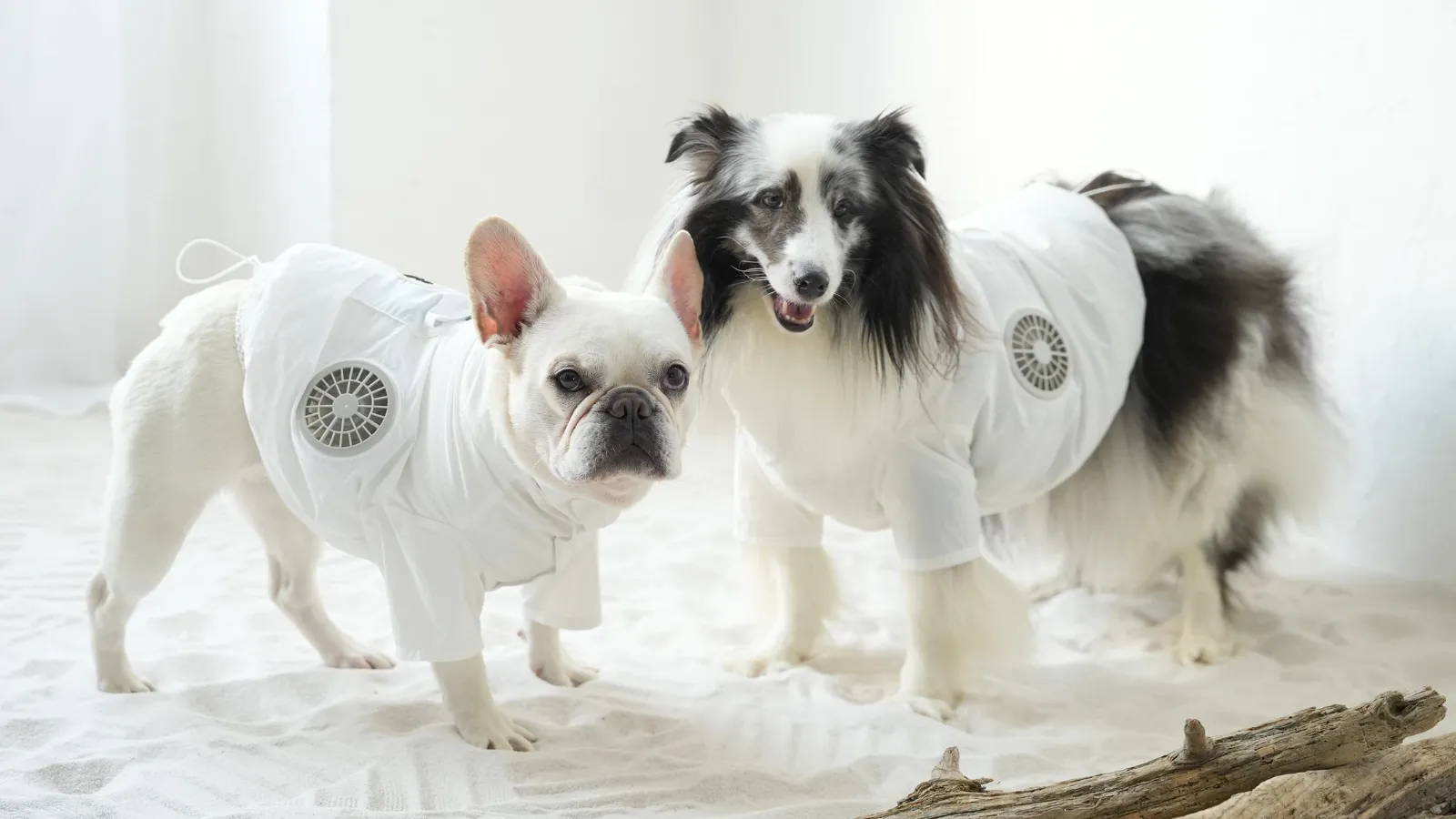 Wearable Fan Pet Wear