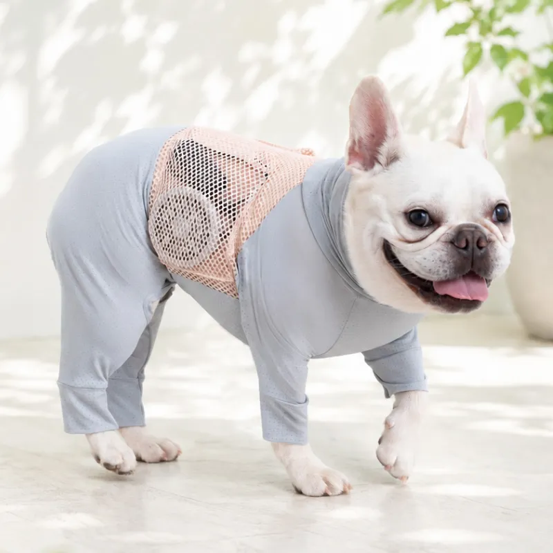 Dog cooling suit with fan and non-freezing gel pack