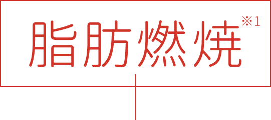 脂肪燃焼