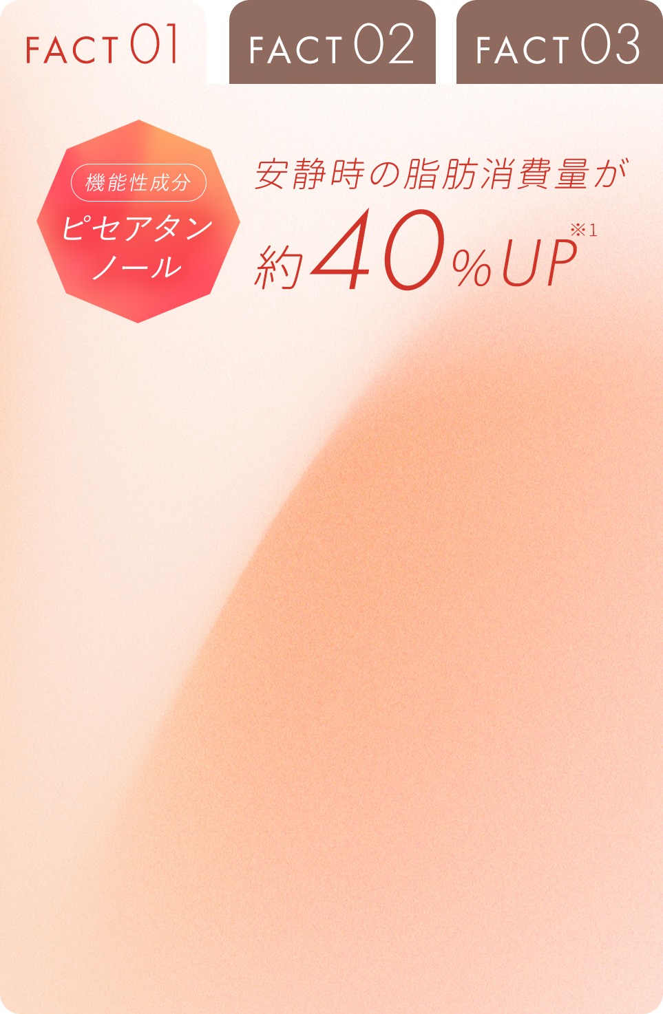 FACT01 タブ