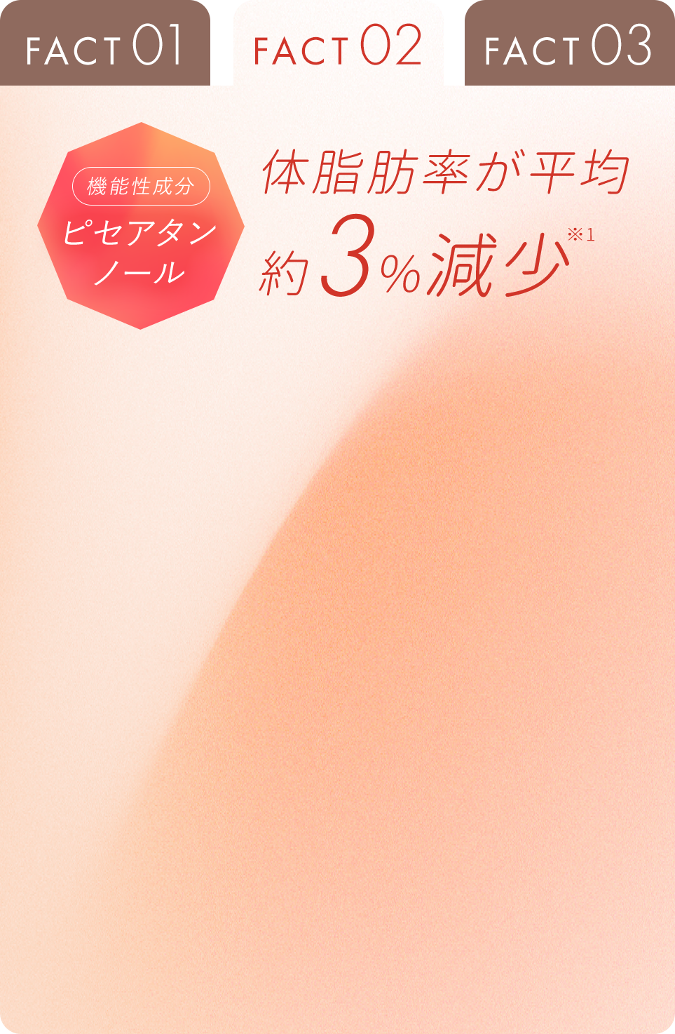 FACT02 タブ