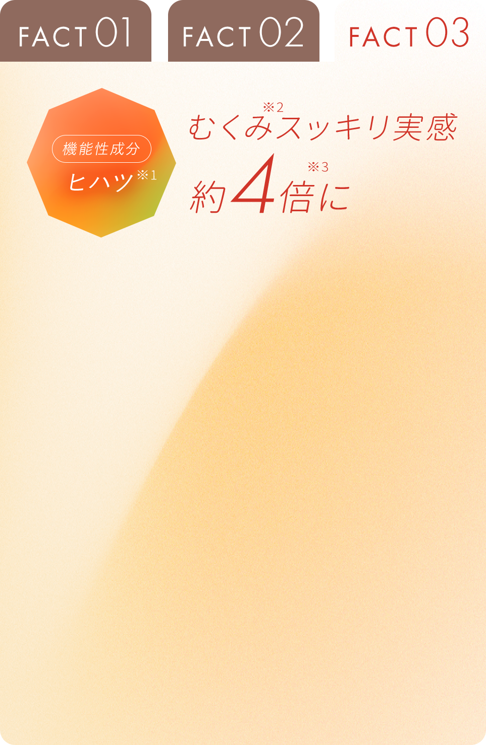 FACT03 タブ