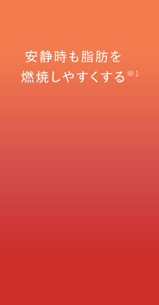 安静時も脂肪を燃焼しやすくなる
