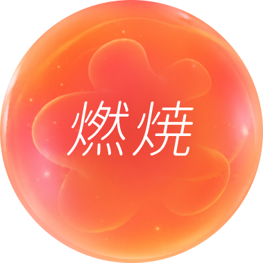 燃焼