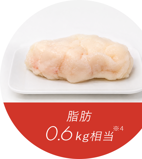 脂肪0.6kg相当