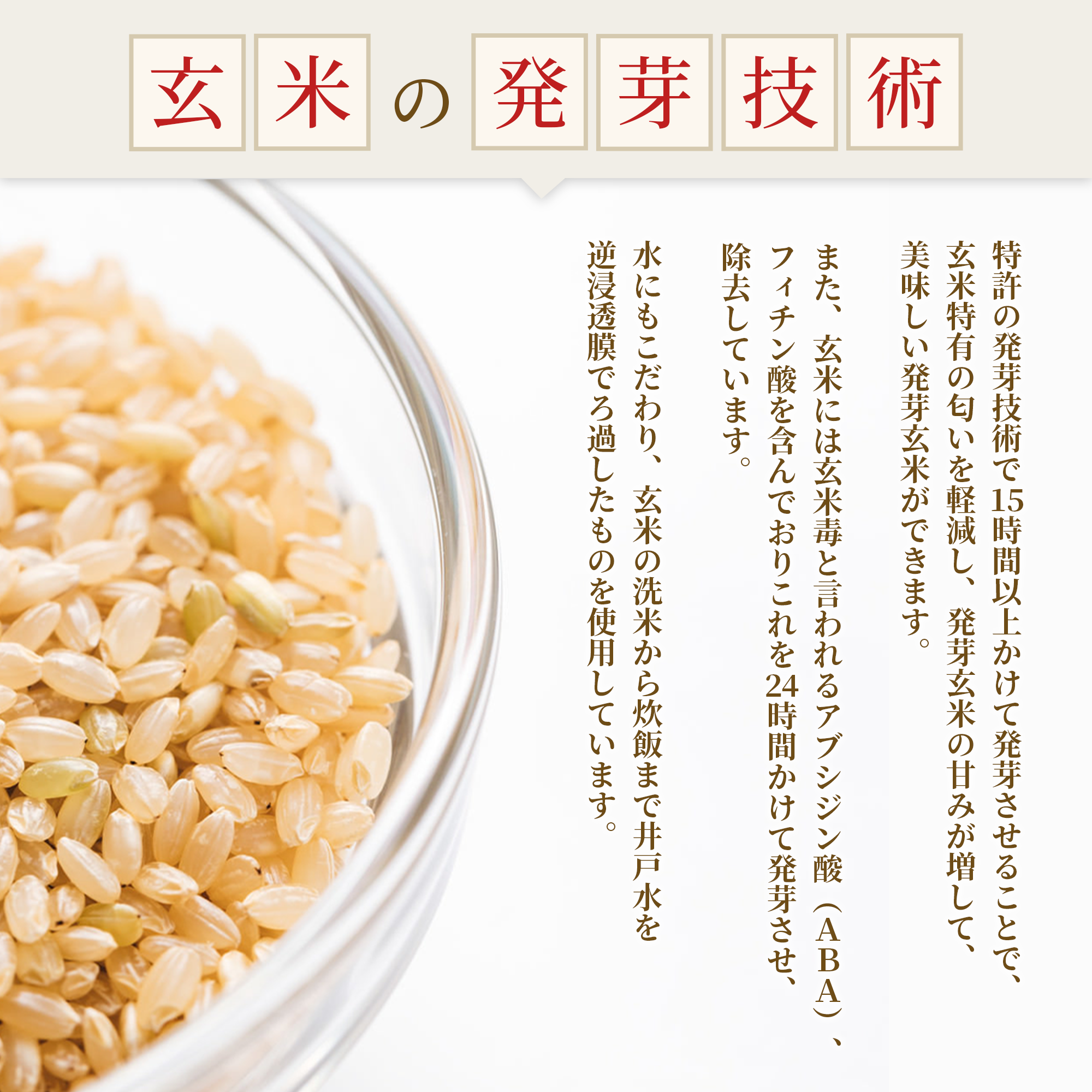 特Aひとめぼれ 発芽玄米1.5kg 残留農薬ゼロ・放射能ゼロ・重金属クリア サイズ: 2袋（3.0kg）