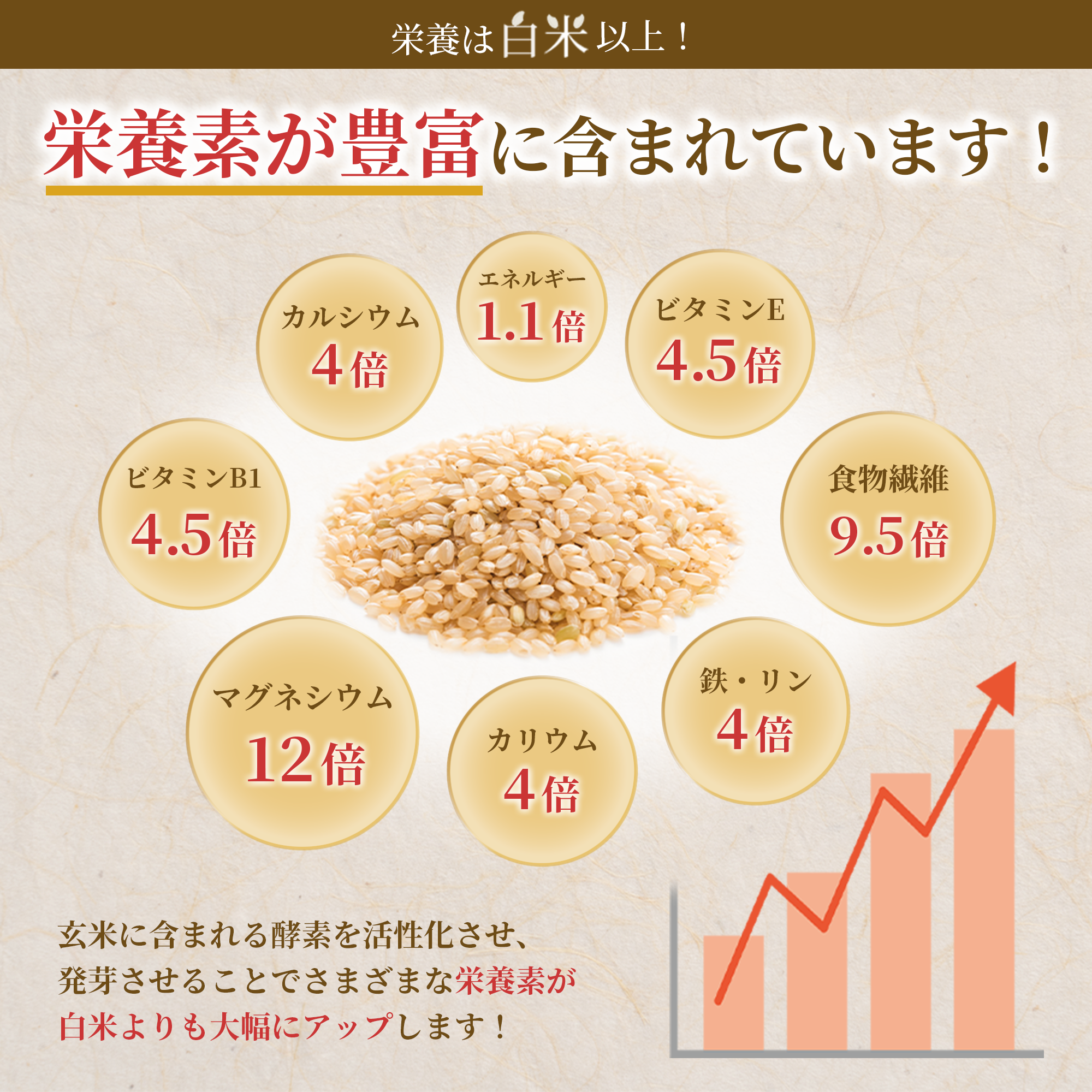 特Aひとめぼれ 発芽玄米1.5kg 残留農薬ゼロ・放射能ゼロ・重金属クリア サイズ: 2袋（3.0kg）