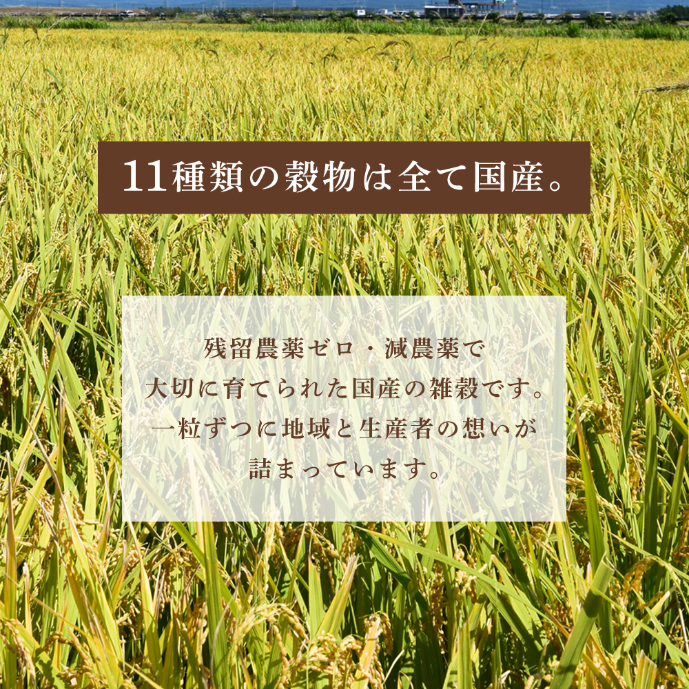 発芽玄米+10雑穀（計11種） 1kg 洗わずにそのまま炊ける  袋数: 1袋（1.0kg）