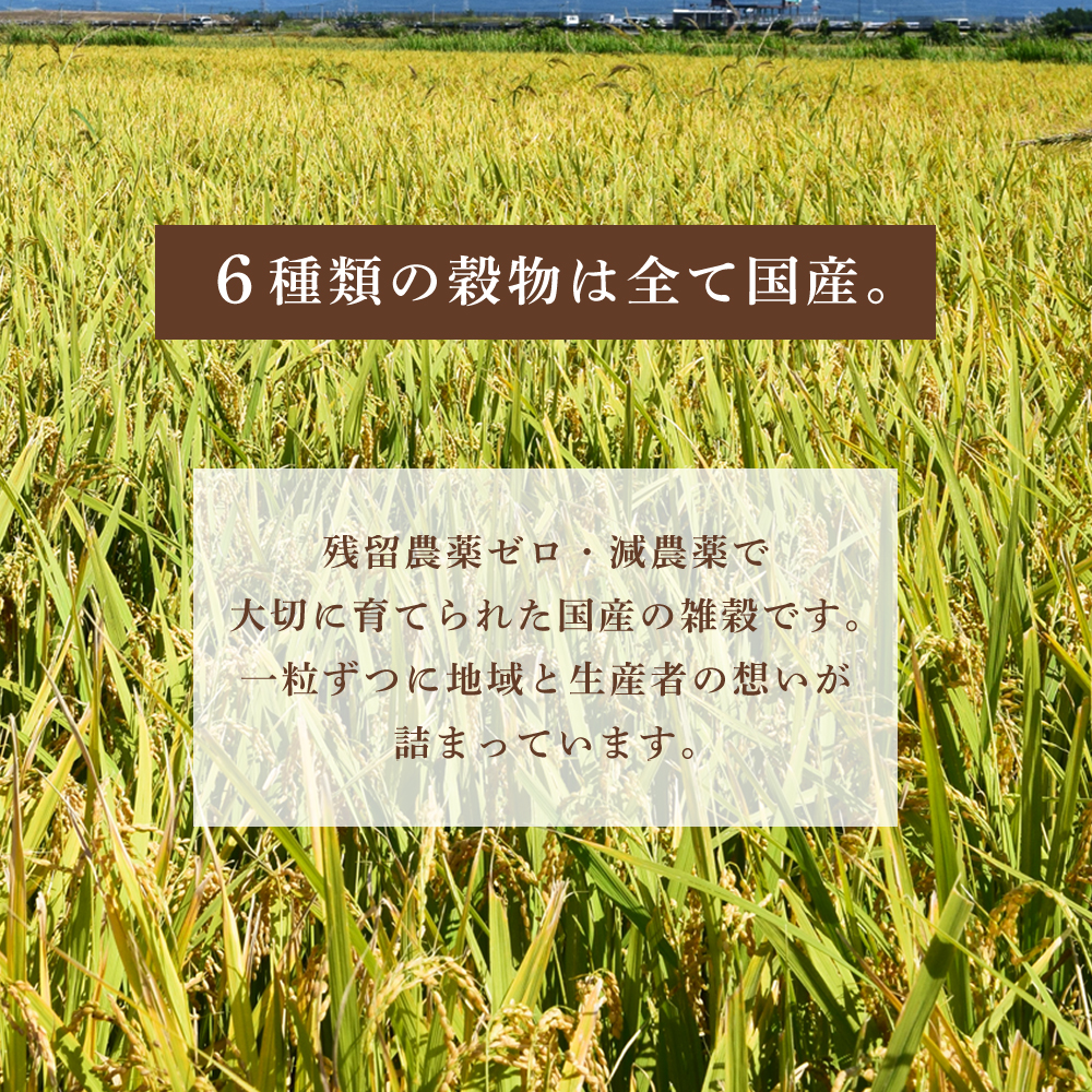 発芽玄米+もち麦5種 1kg 洗わずにそのまま炊ける  袋数: 1袋（1.0kg）