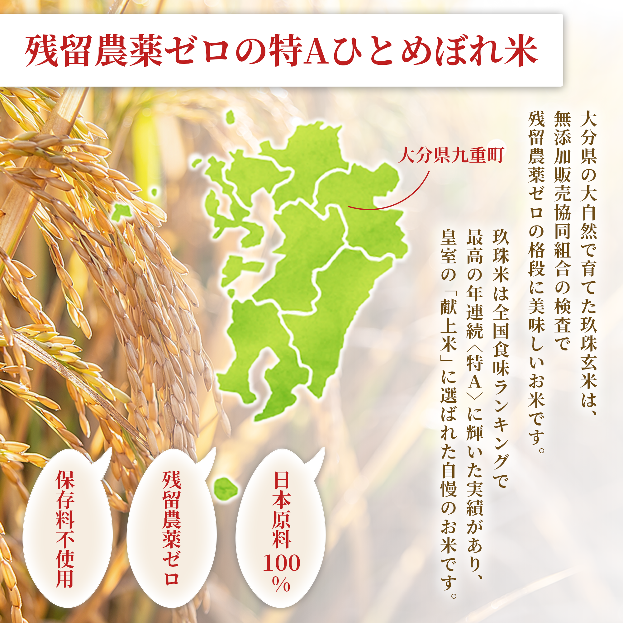 特Aひとめぼれ 発芽玄米1.5kg 残留農薬ゼロ・放射能ゼロ・重金属クリア サイズ: 2袋（3.0kg）