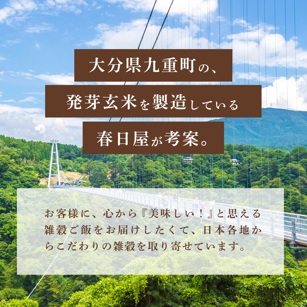 発芽玄米+10雑穀（計11種） 1kg 洗わずにそのまま炊ける  袋数: 1袋（1.0kg）