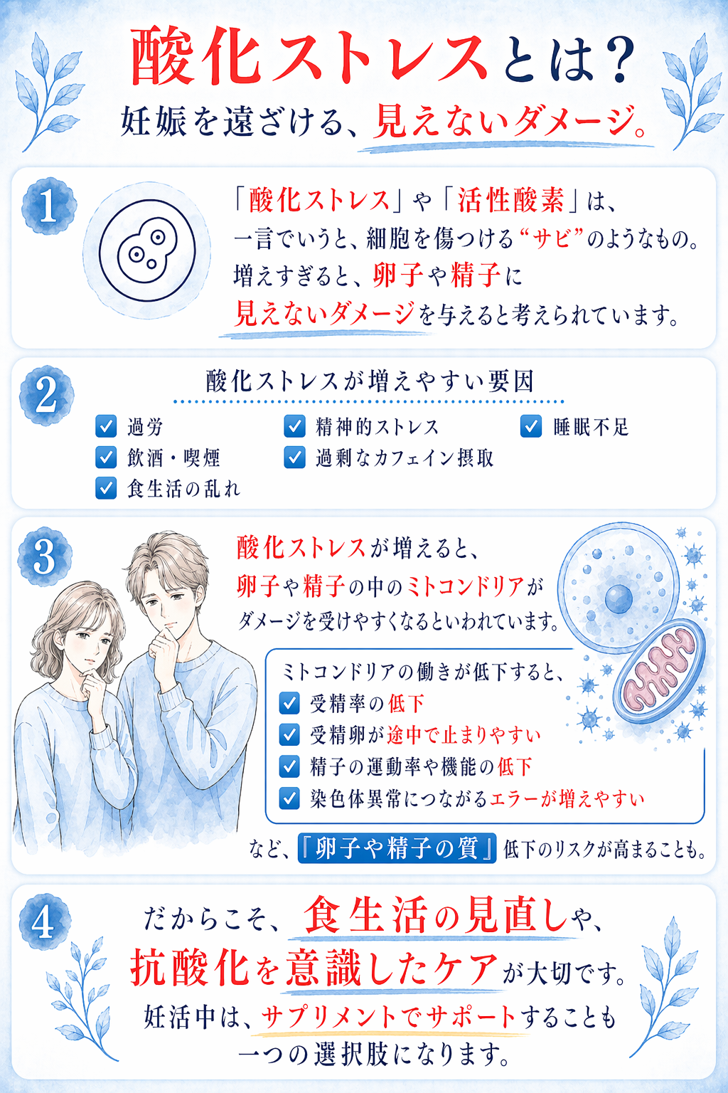 メバエルプラス[発売前]