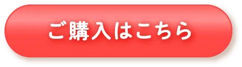 ご購入はこちら